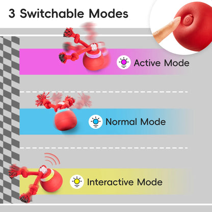 Potaroma Touch Activated Rechargeable Dog Ball Toy, Squeaky Interactive Moving Ball with Rope, USB Charging Auto Rolling Training Ball for Puppy Small Medium Dogs Dark Red